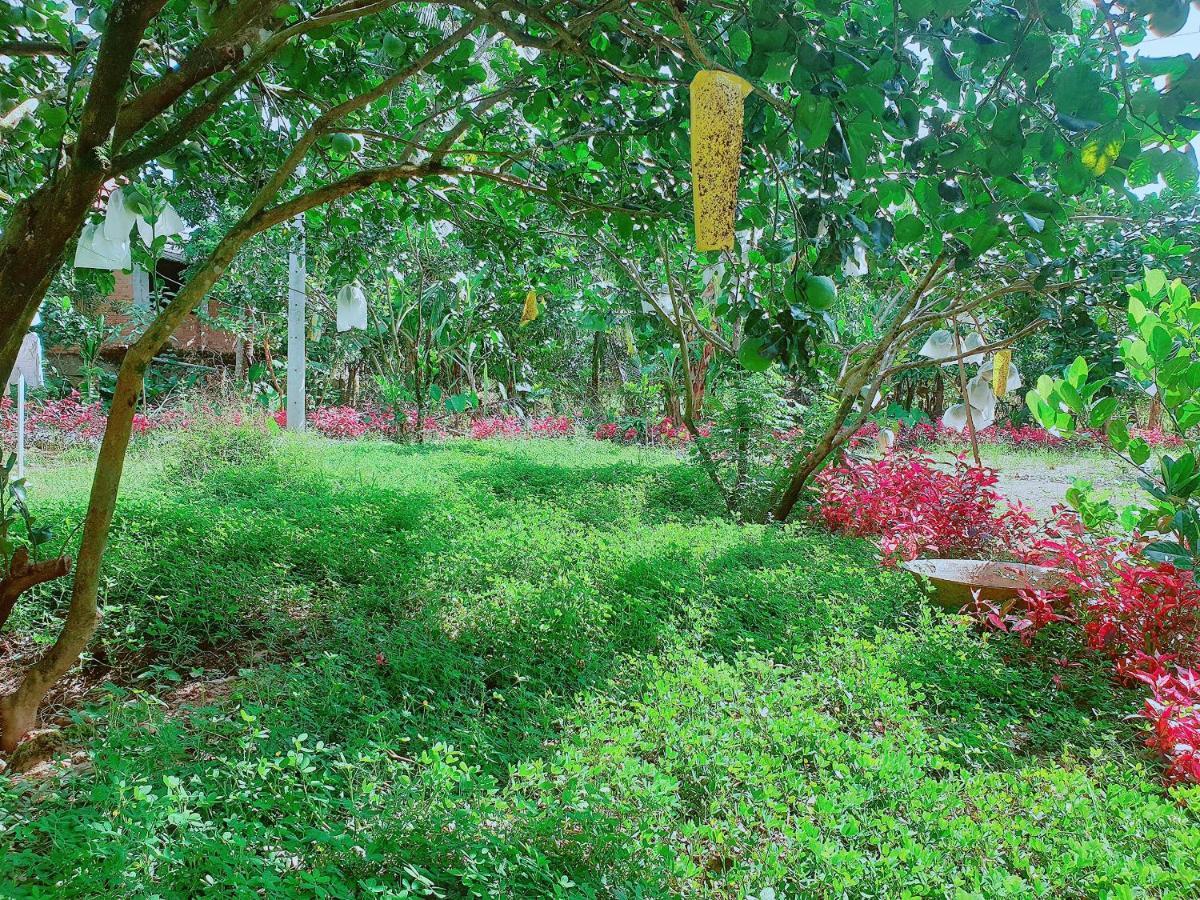 Thuy Tien Ecolodge カッティエン エクステリア 写真